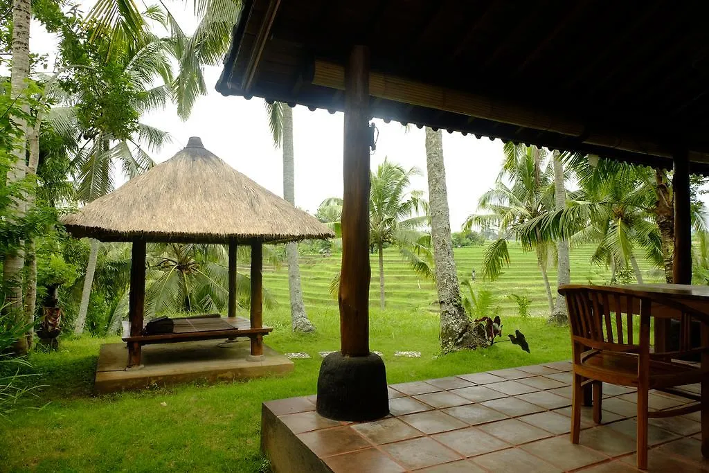 **  Green House Guest House Ubud  Indonesia