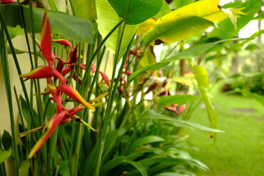 Green House Guest House Ubud  2*, Ubud (Bali) Indonesia