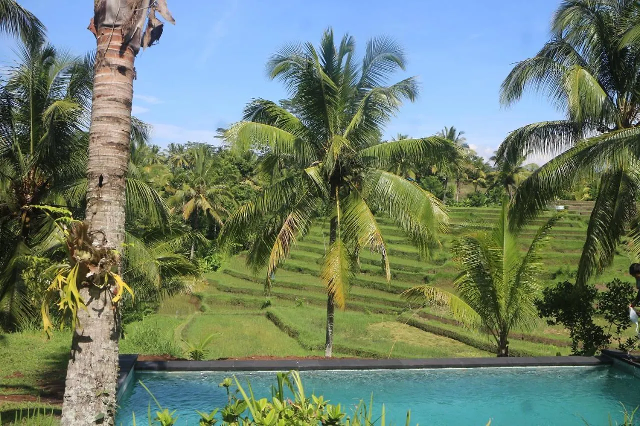 Green House Guest House Ubud   Ubud (Bali)