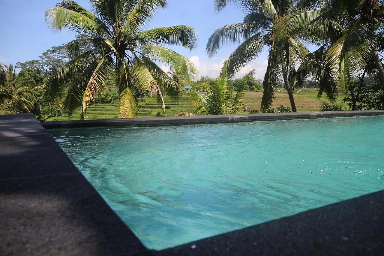 Green House Guest House Ubud  2*, Ubud (Bali)