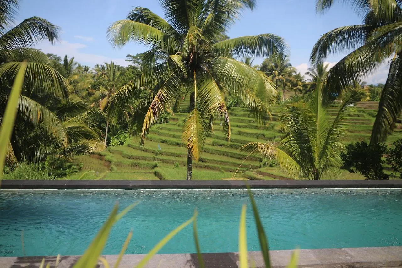 Green House Guest House Ubud  Ubud (Bali)