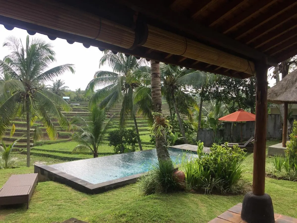 Green House Guest House Ubud