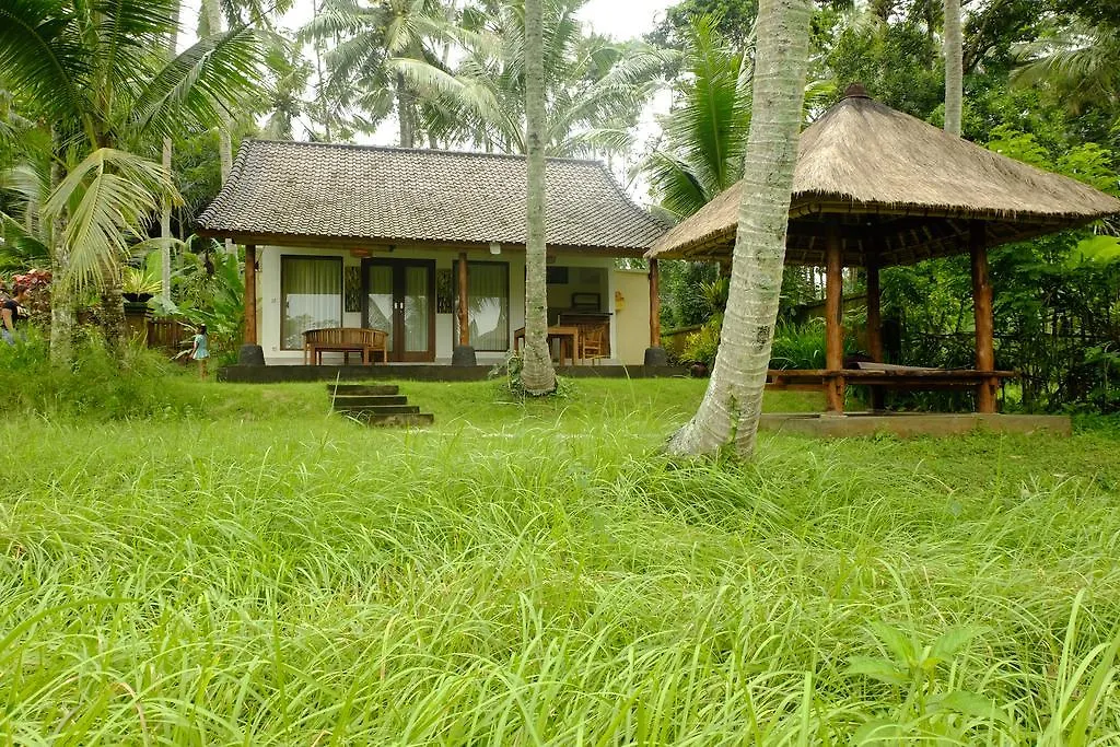 Green House Guest House Ubud  2*, Ubud (Bali)