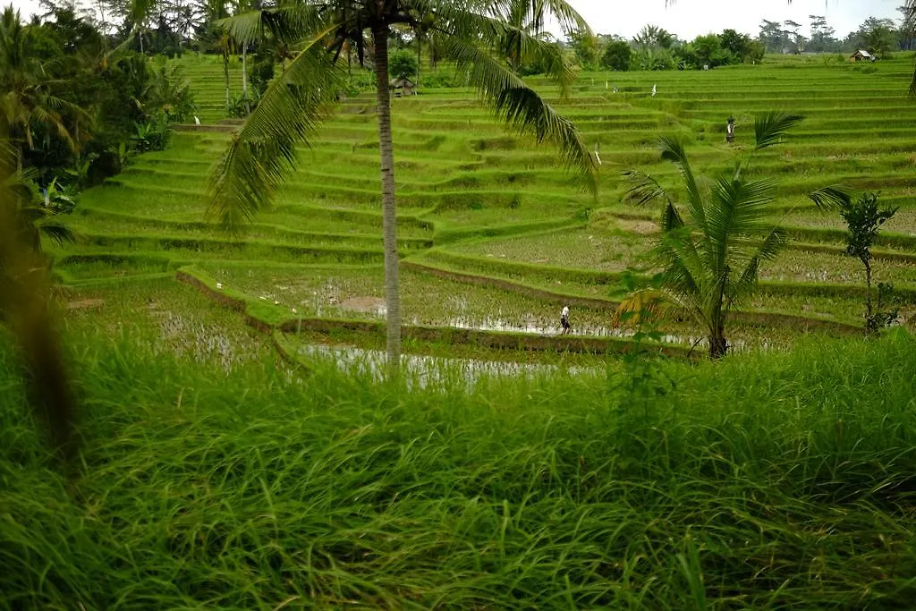 Green House Guest House Ubud