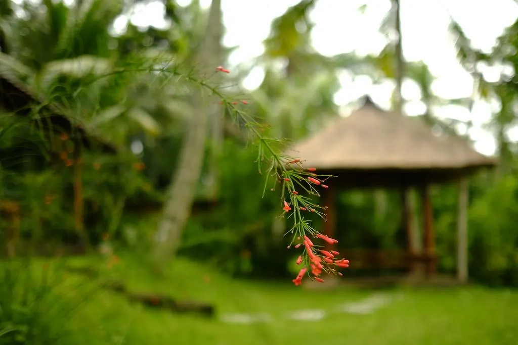 Green House Guest House Ubud