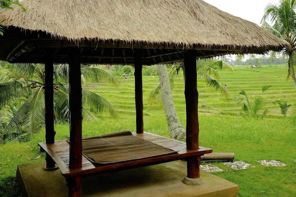Green House Guest House Ubud   Ubud (Bali)