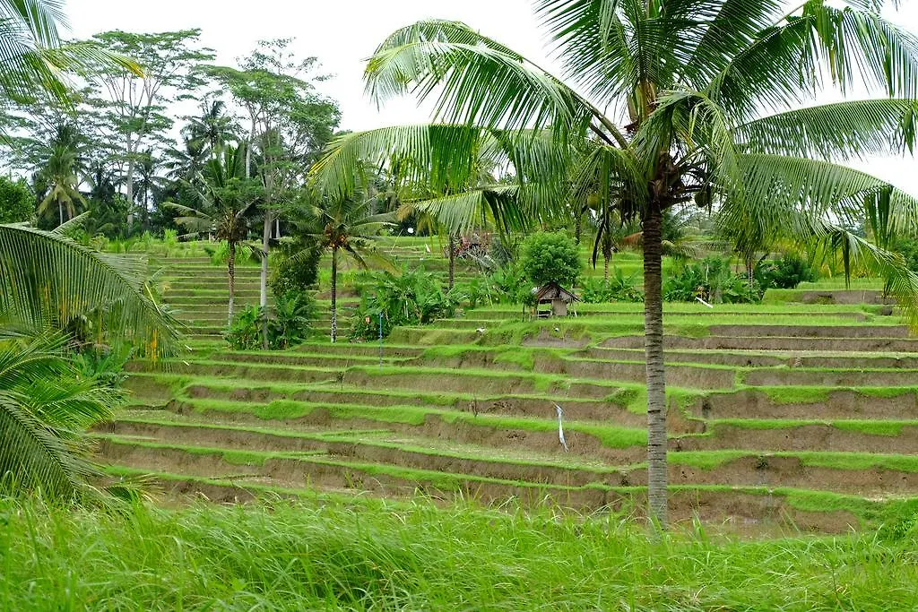 Green House Guest House Ubud