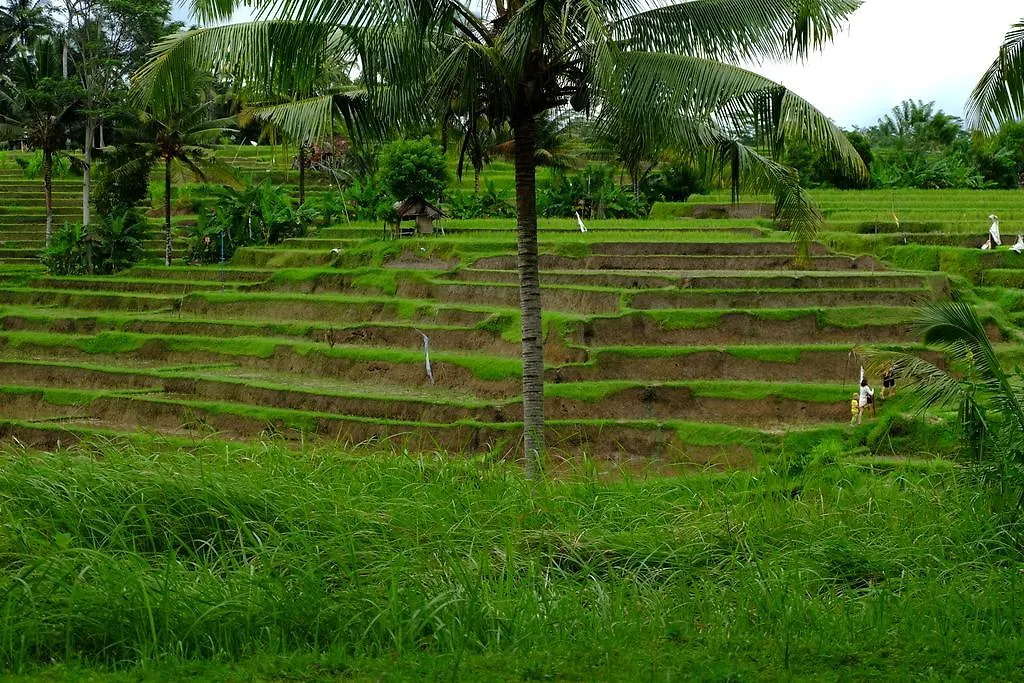 Green House Guest House Ubud