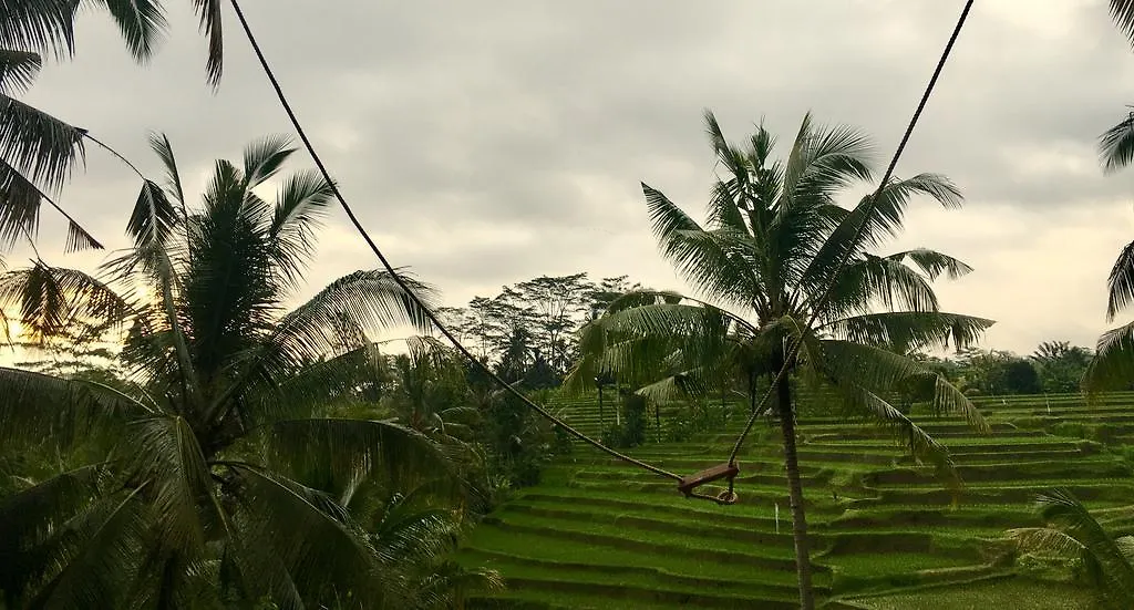 **  Green House Guest House Ubud  Indonesia