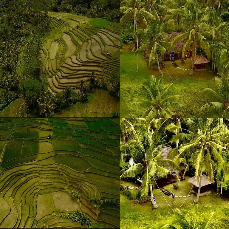Green House Guest House Ubud