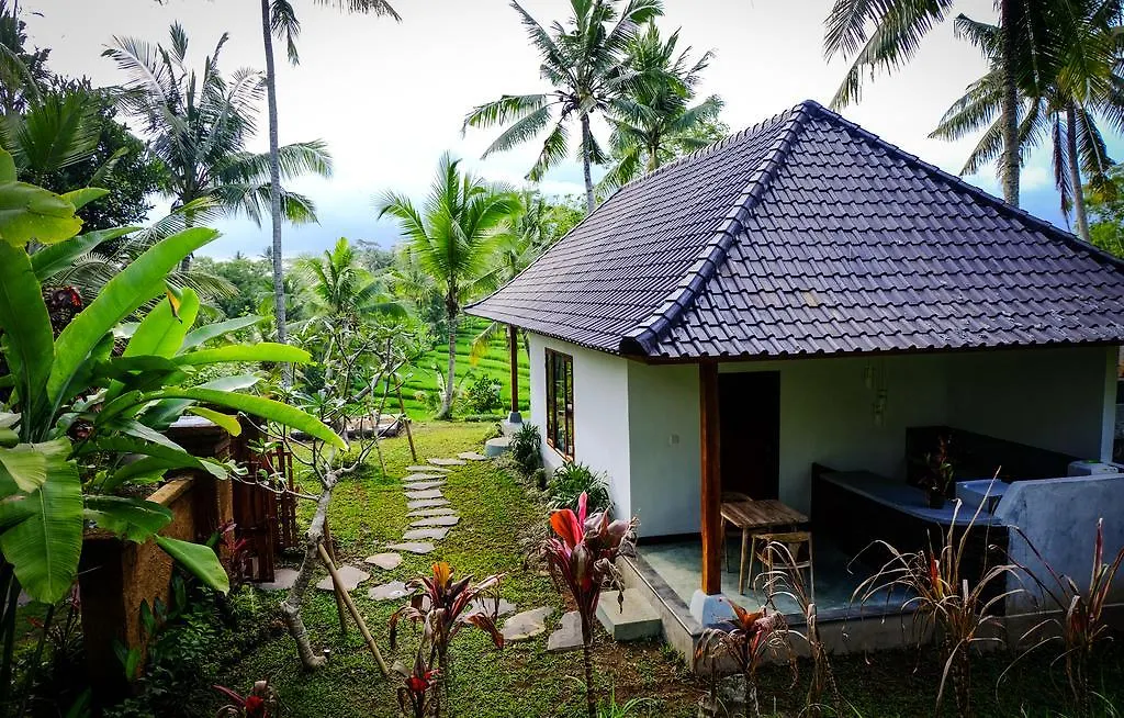 Green House Guest House Ubud