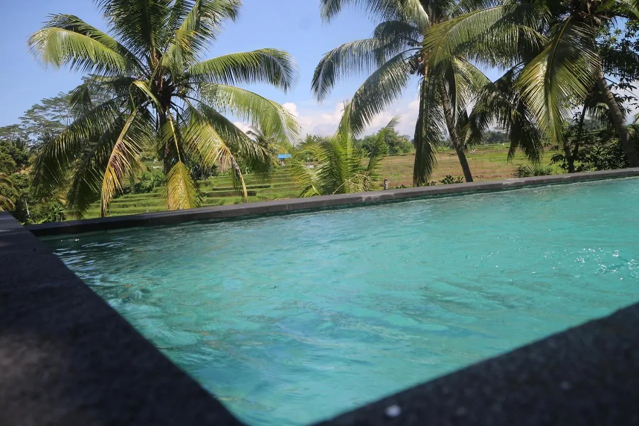 ** Penzion Green House 2 Bedroom Private Pool Villa Ubud Indonésie