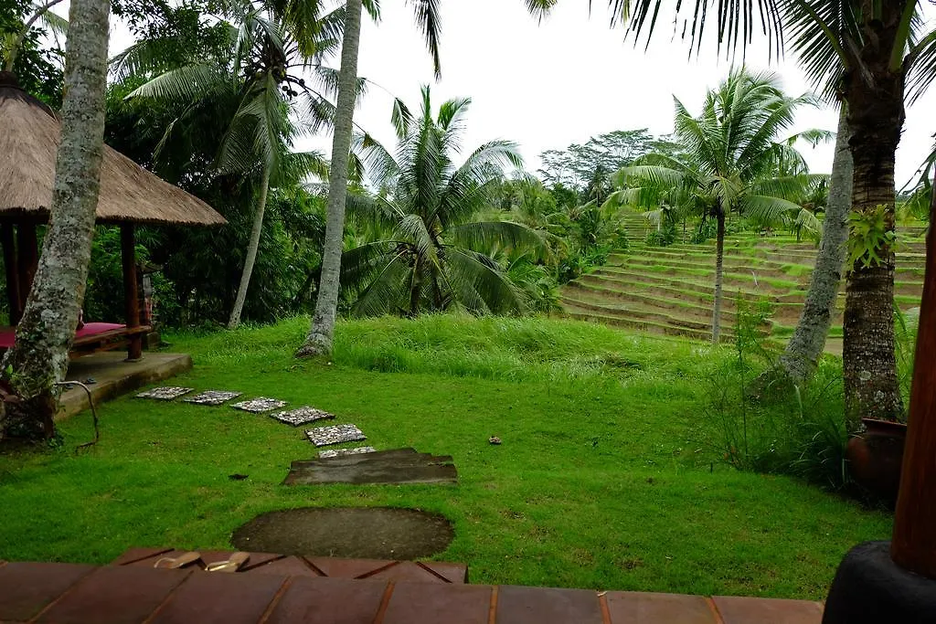 Green House 2 Bedroom Private Pool Villa Ubud Indonésie