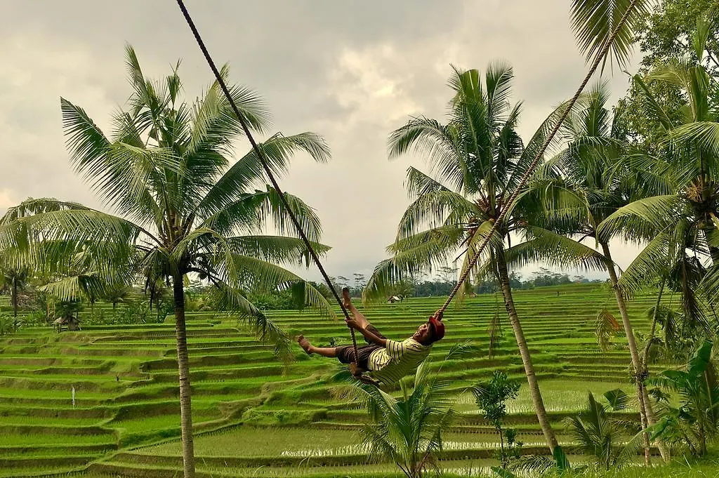 Green House 2 Bedroom Private Pool Villa Ubud Penzion
